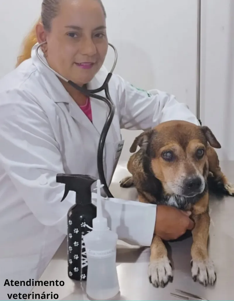 Medicina 1