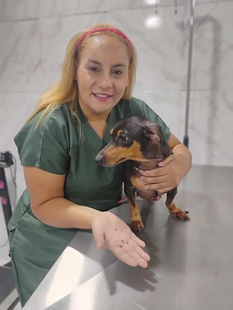 Medicina 6